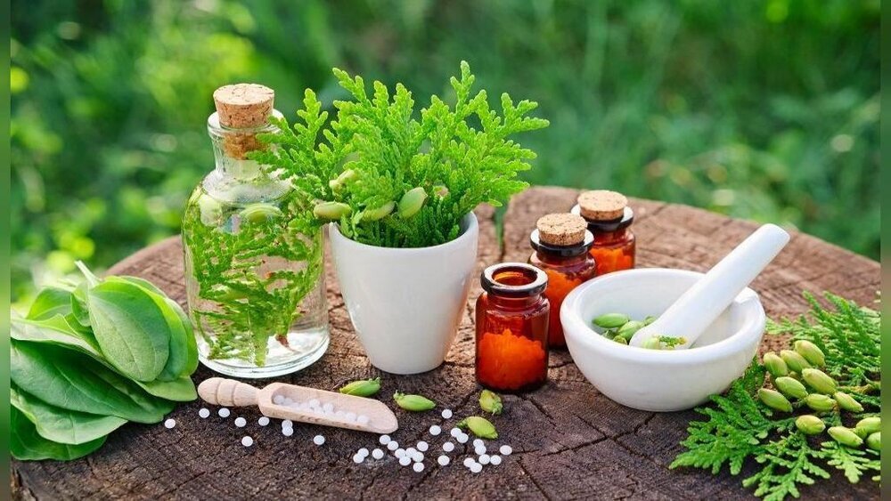 How to Source Ingredients for Remedies from The Lost Book of Herbal Remedies