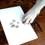 Crafting Cherished Memories with Pawsome Pet Print Kits